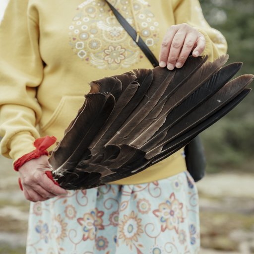 Whiteshell Petroforms Authentic Indigenous Tours