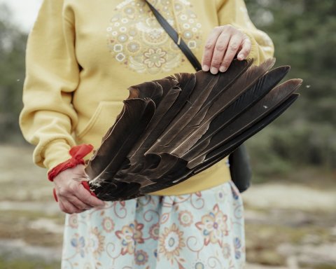 Whiteshell Petroforms Authentic Indigenous Tours