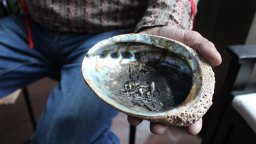 Learning About Smudging with Old Hands, of the Shoshone First Nation