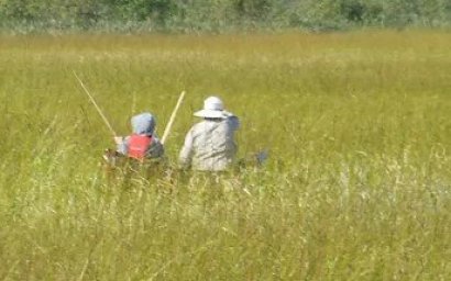 Anishinaabe Wild Rice Experience